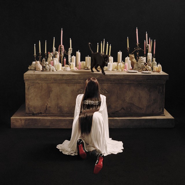 ESTRUS album cover