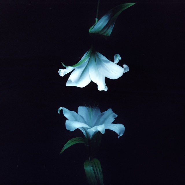 Nocturne album cover