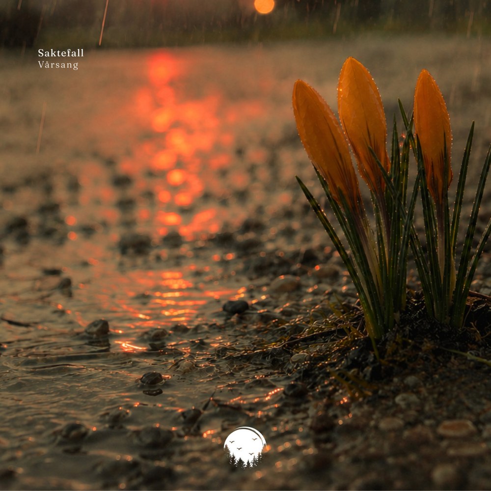 Vårsang album cover