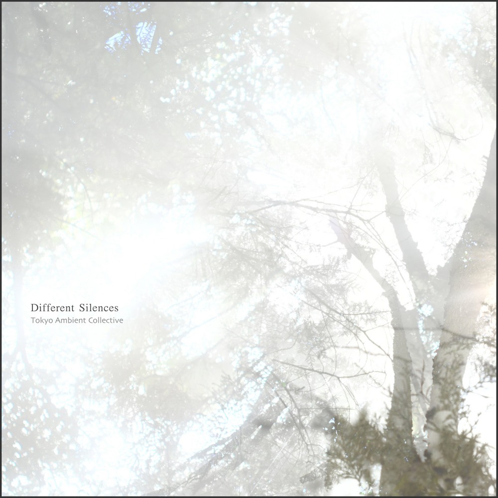 Different Silences album cover