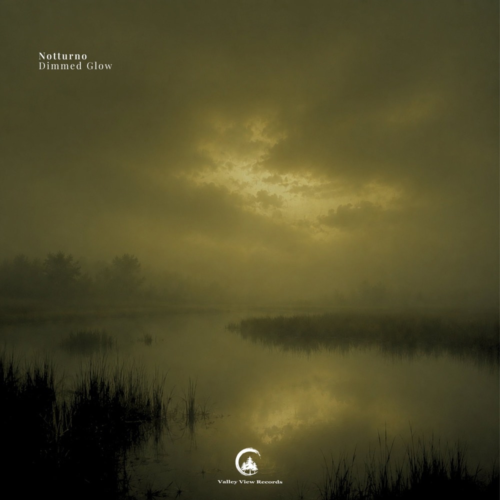 Dimmed Glow album cover