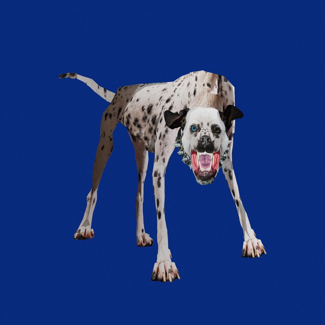 mosca album cover