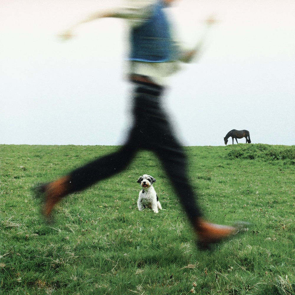 Everything, absolutely album cover