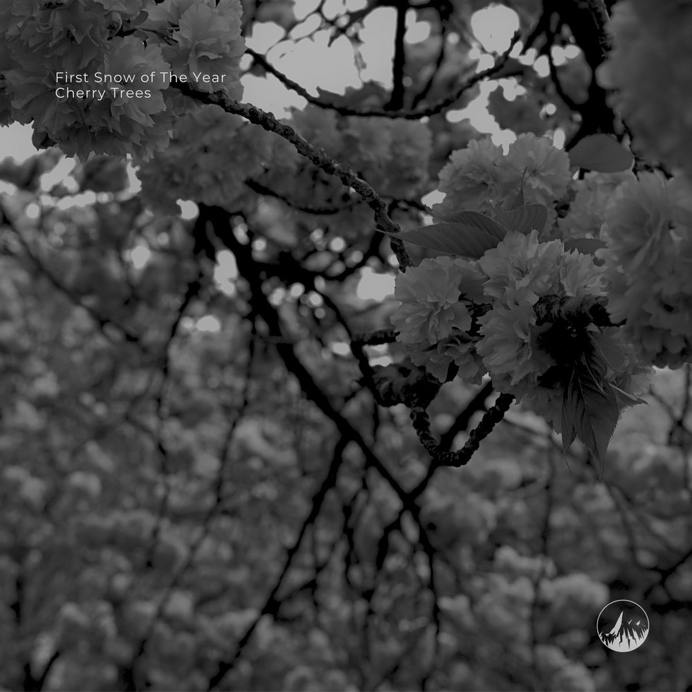 Cherry Trees album cover