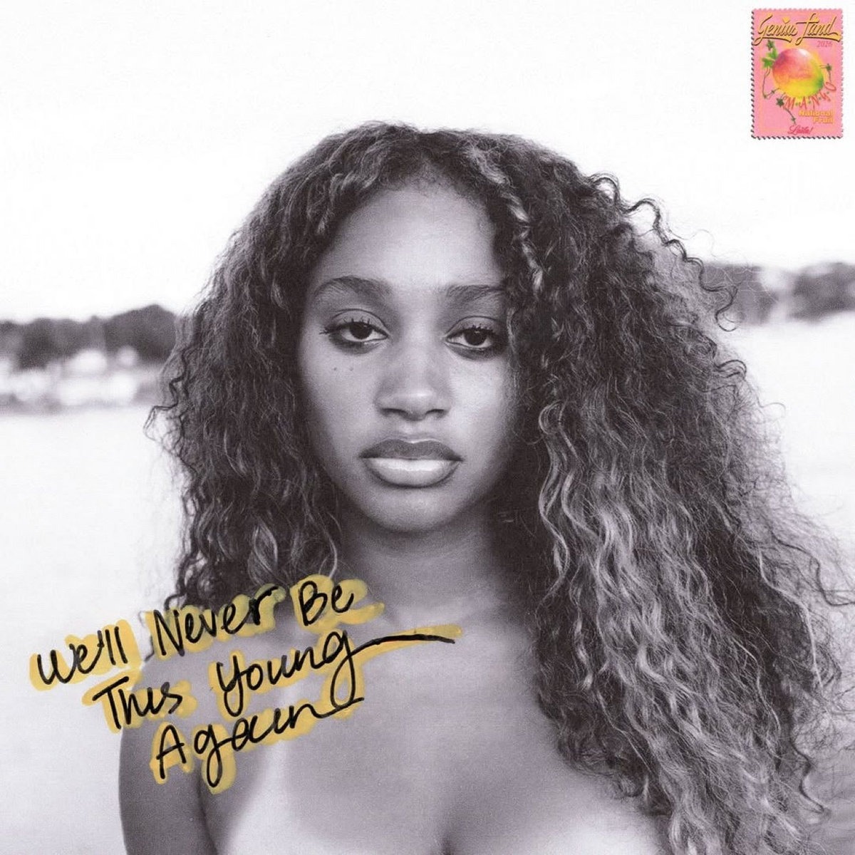We'll Never Be This Young Again album cover