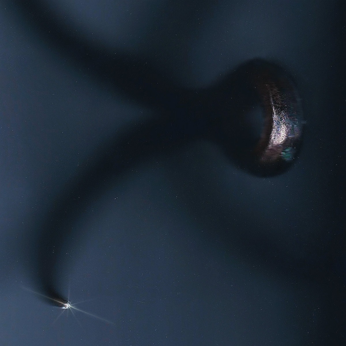 The South Façade album cover