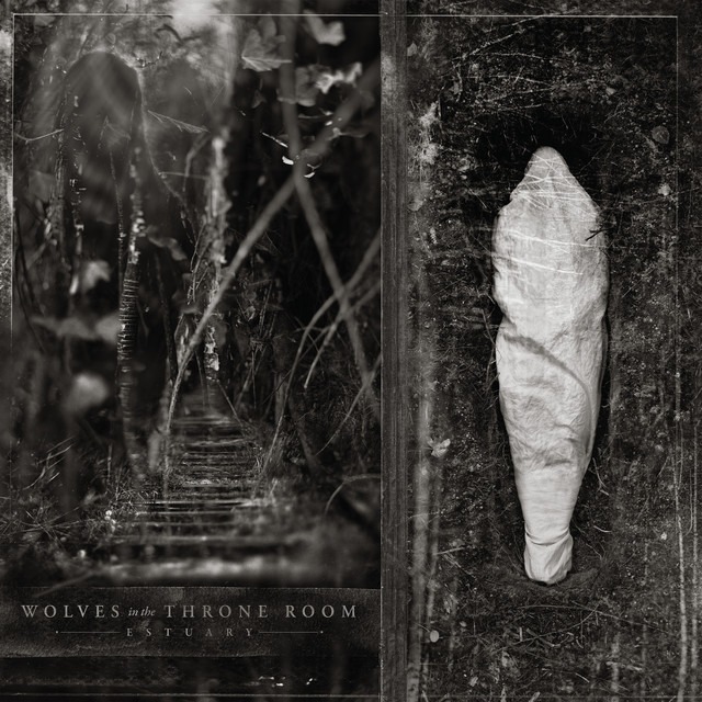 Estuary album cover